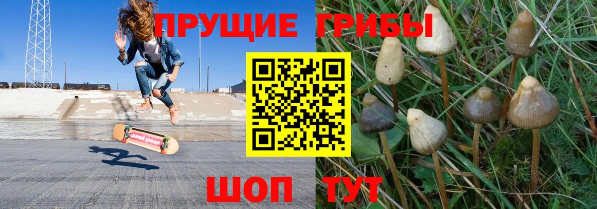 Галлюциногенные грибы MAGIC MUSHROOMS Гуково