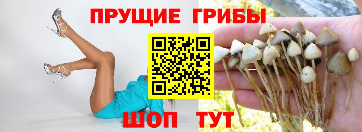 Гуково  Галлюциногенные грибы MAGIC MUSHROOMS  Вход с VPN 